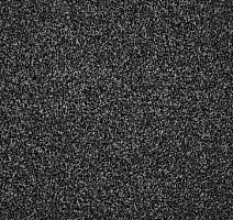 Ковролин AW Terra 99 фото 1 | FLOORDEALER